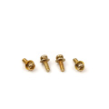 Gold plated precision sems screws with spring washers